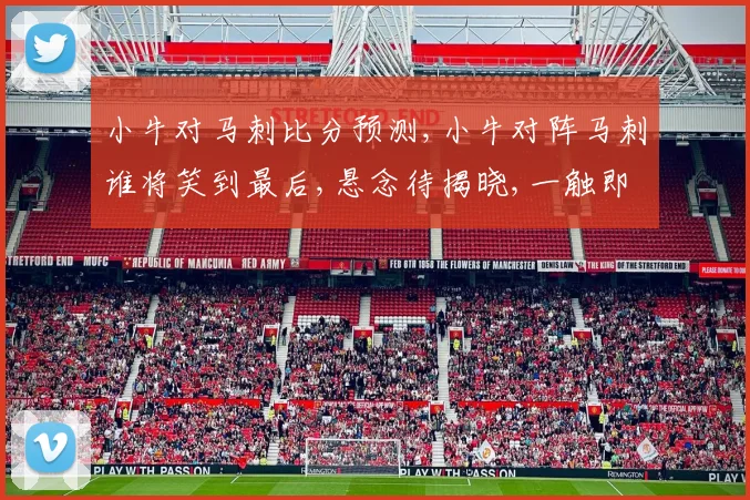 小牛对马刺比分预测,小牛对阵马刺谁将笑到最后,悬念待揭晓,一触即发