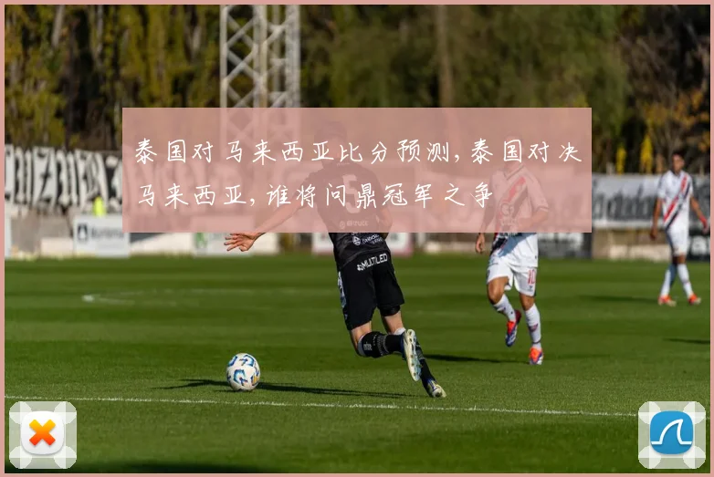 泰国对马来西亚比分预测,泰国对决马来西亚,谁将问鼎冠军之争