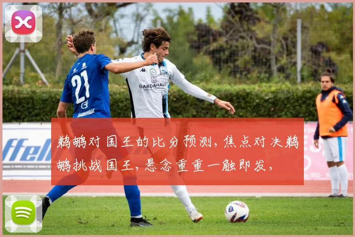 鹈鹕对国王的比分预测,焦点对决鹈鹕挑战国王,悬念重重一触即发,