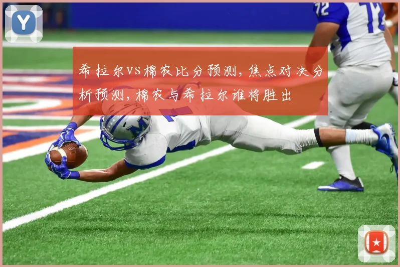 希拉尔vs棉农比分预测,焦点对决分析预测,棉农与希拉尔谁将胜出