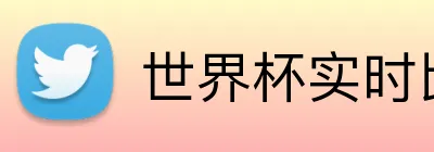 世界杯实时比分 Logo